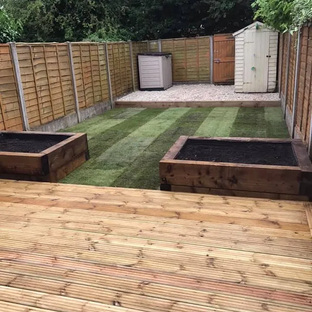 back garden